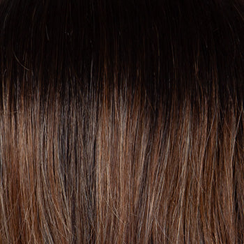 Balayage Beauty by Raquel Welch